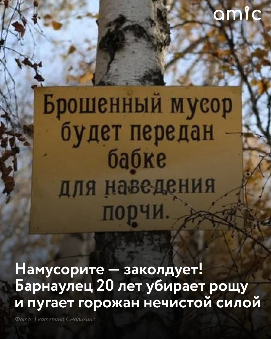 В березовой роще на Солнечной поляне фотокорреспондент amic.ru обнаружила таблички с уг...