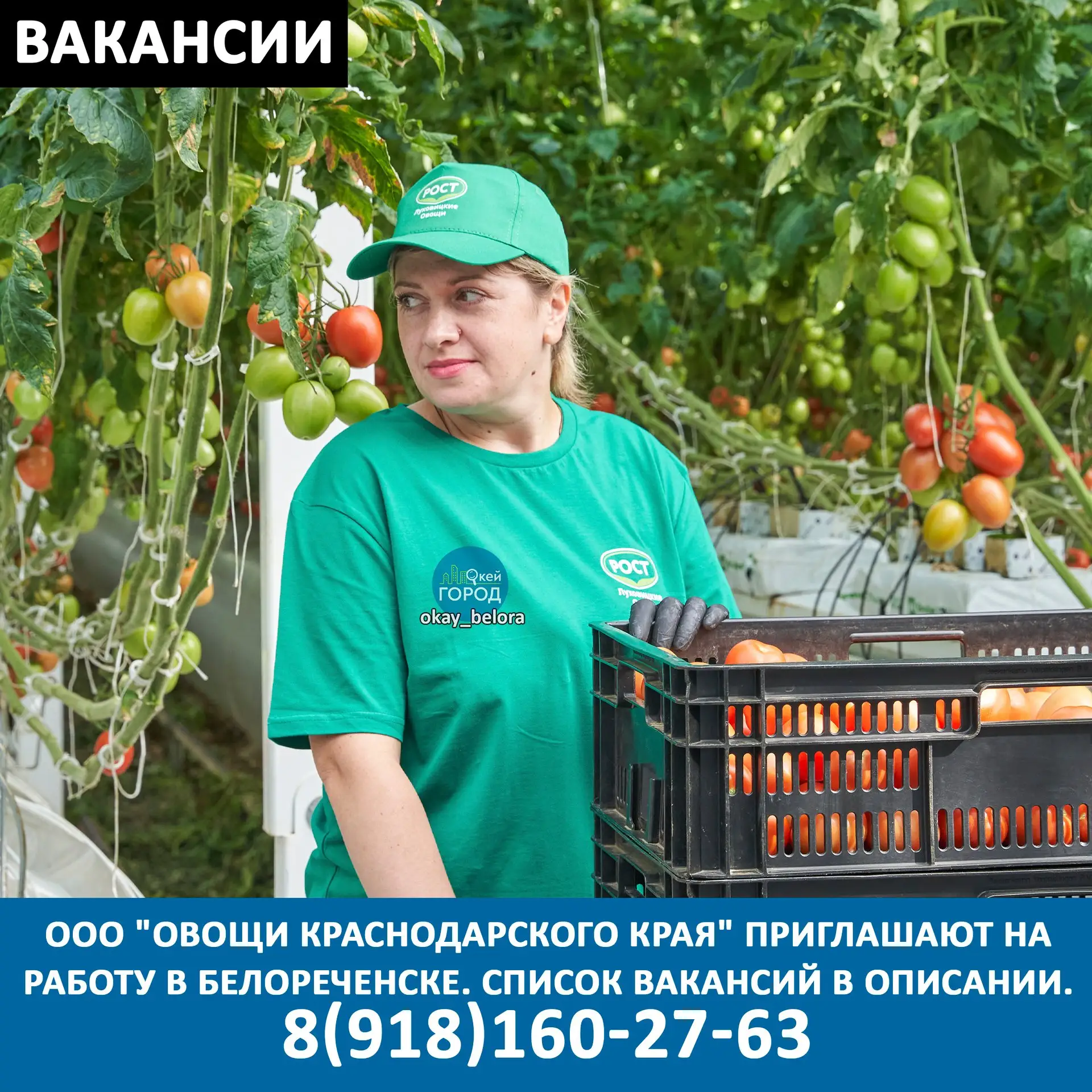 Вакансии!