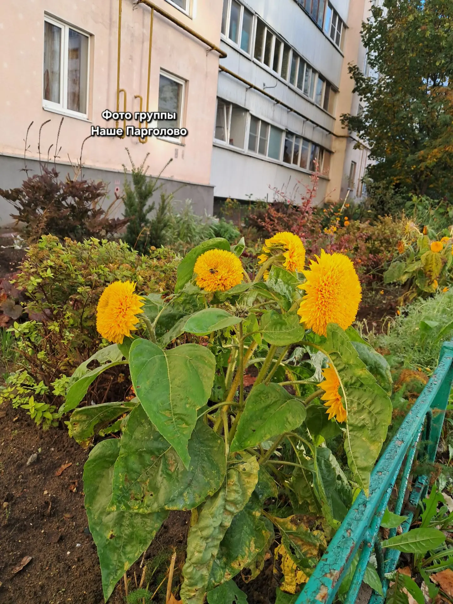 Доброе утро, соседи!🍂 Сейчас 9:00, 5 октября. На улице — 8 градусов тепла, а во многих...