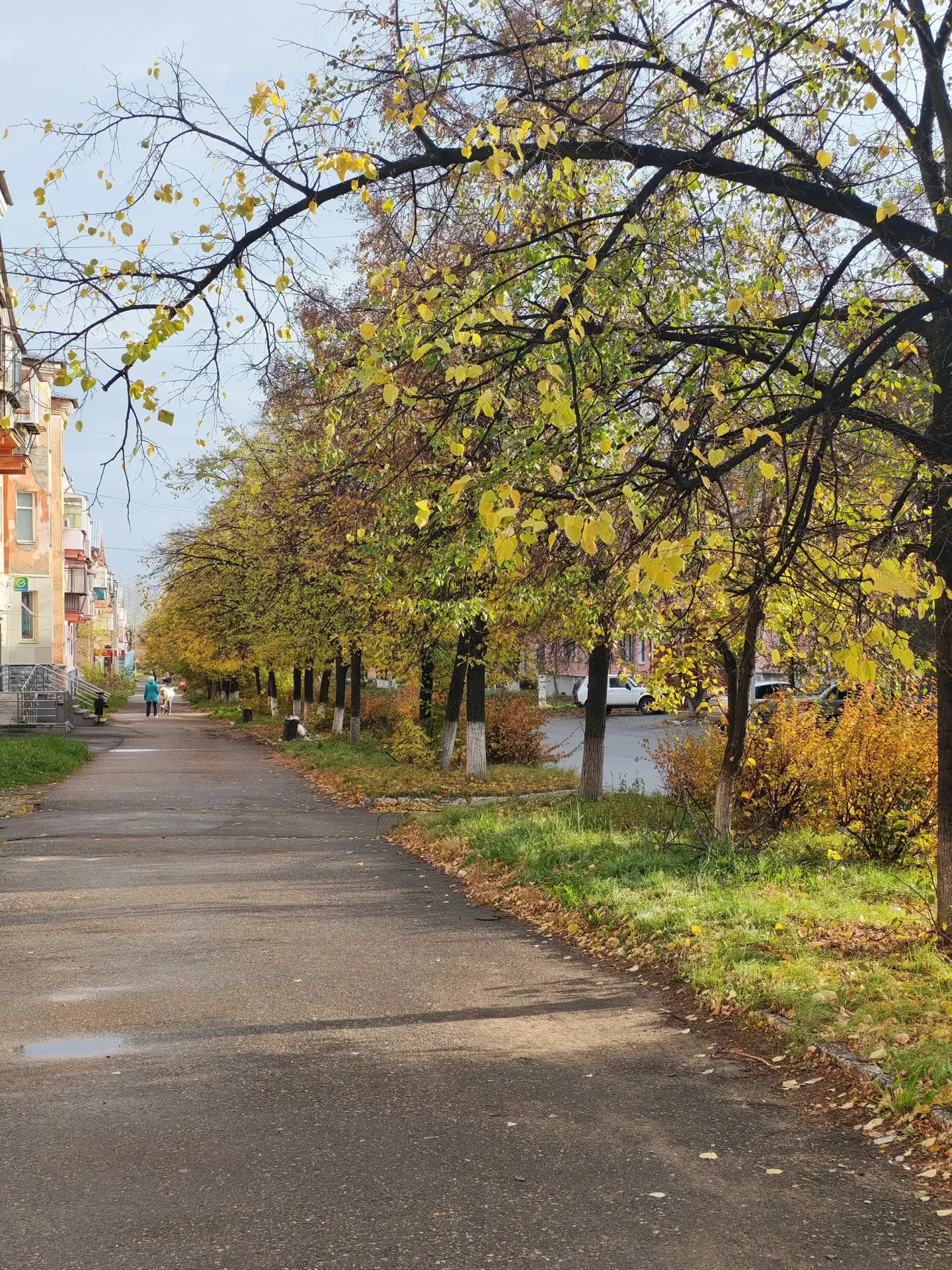 Новая неделя на Южном Урале начнется с тепла🍂