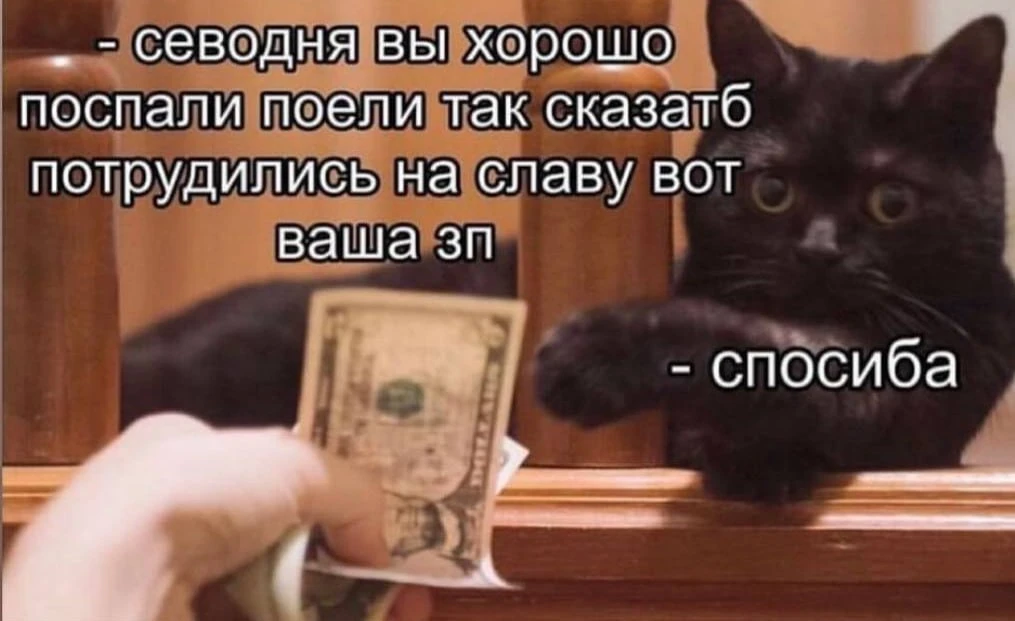 Подпишись на юмор 😂