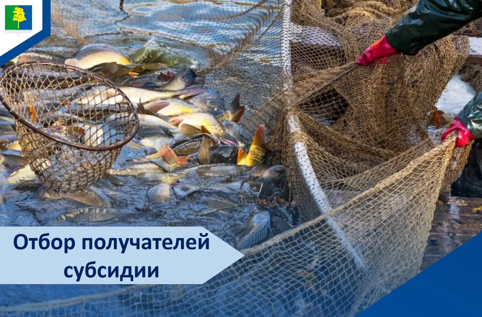 📢 Объявлен отбор получателей субсидии на поддержку рыбохозяйственного комплекса.