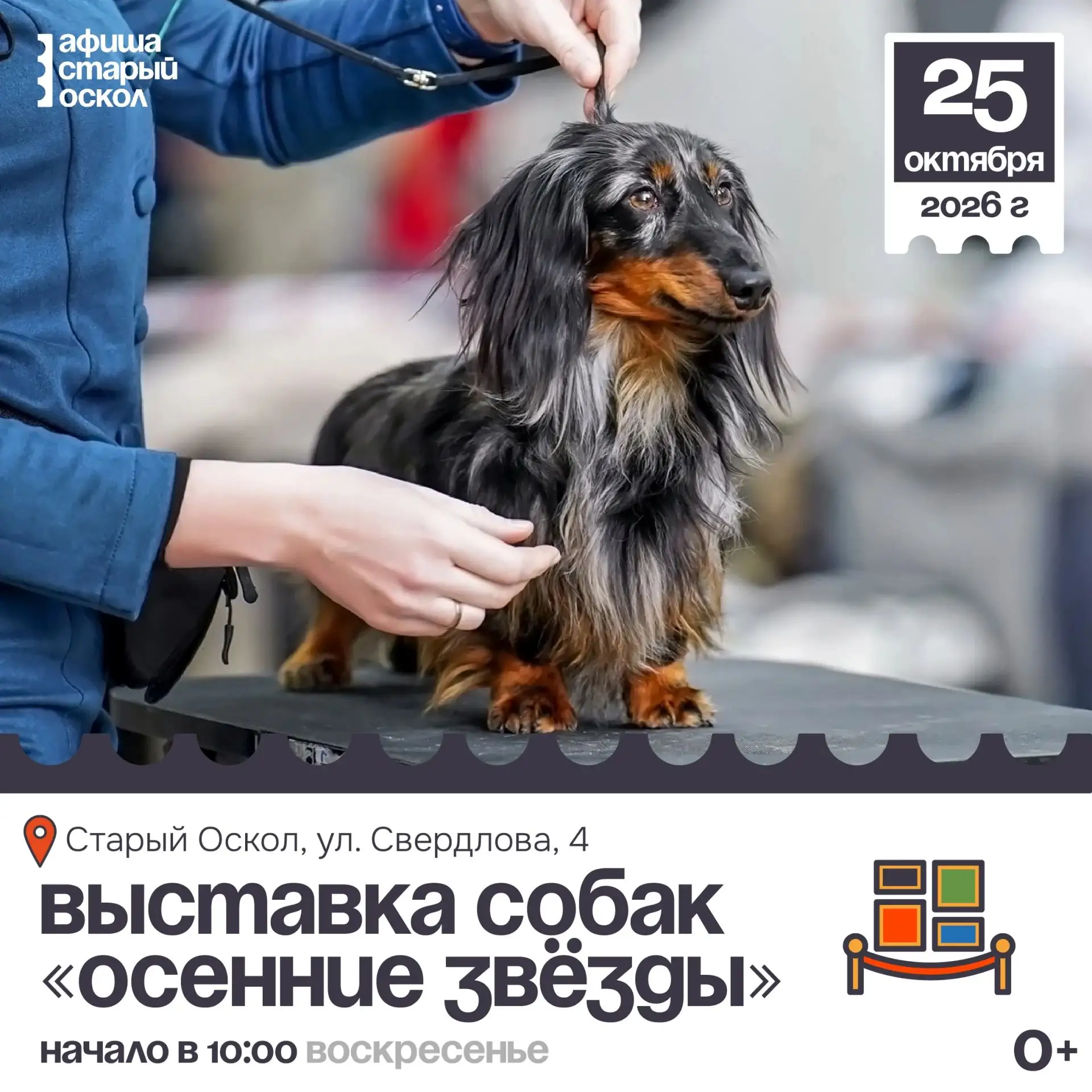 🎨 Выставка собак «Осенние звёзды» 0+