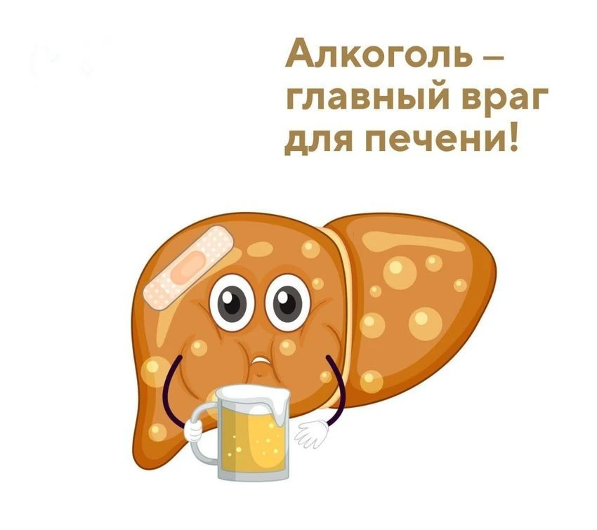 🍷ЧТО ПРОИСХОДИТ С ПЕЧЕНЬЮ, КОГДА ТЫ ПЬЁШЬ АЛКОГОЛЬ