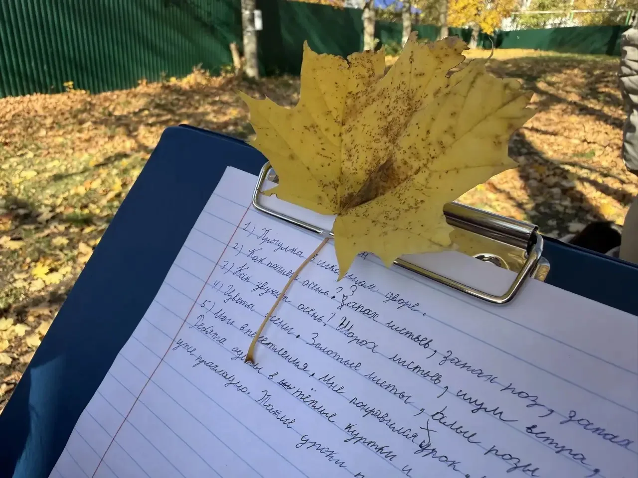 🍁Уроки в школьном дворе!