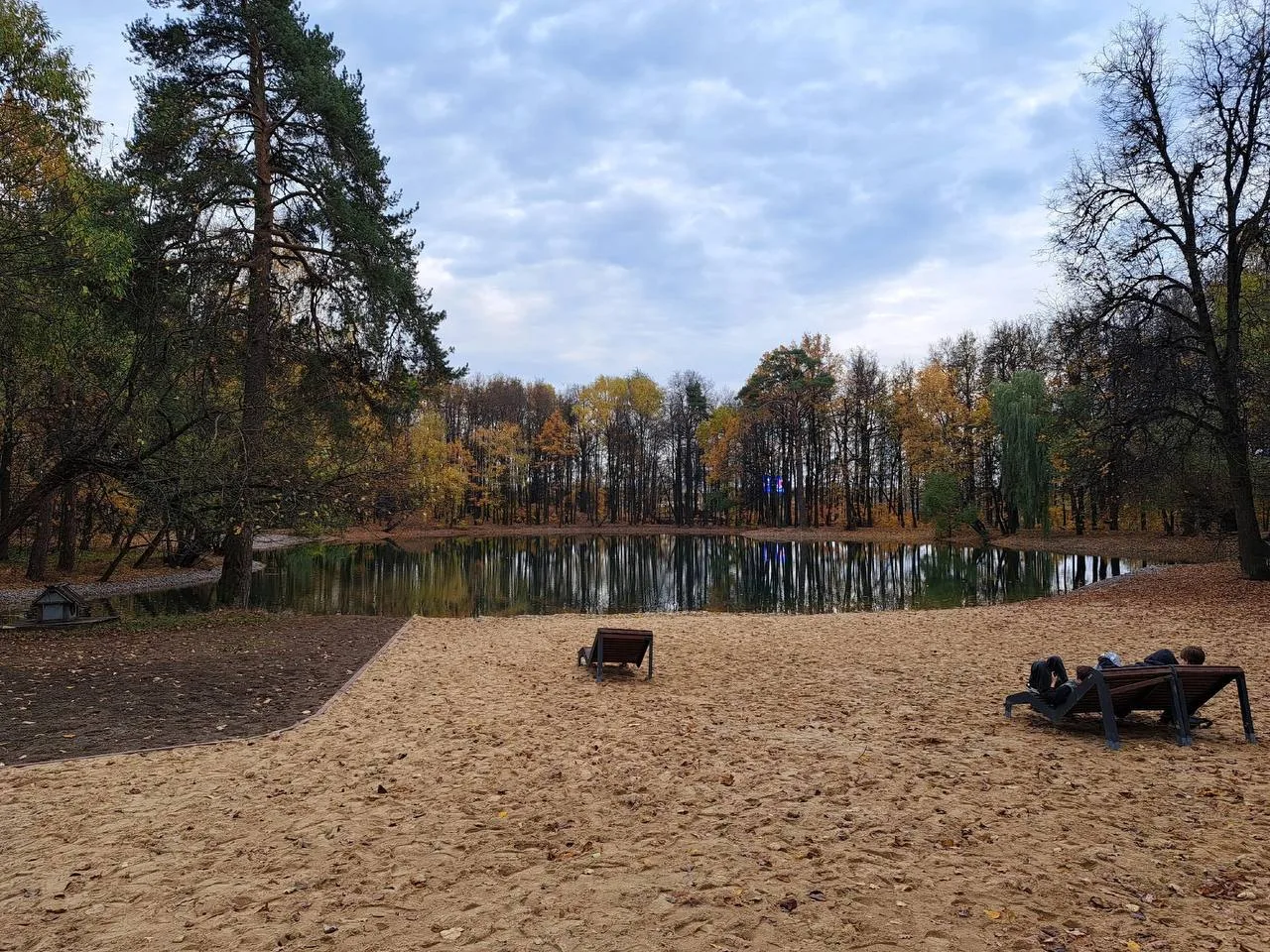 Осенний пруд в объективе Марии Калининой 🍂