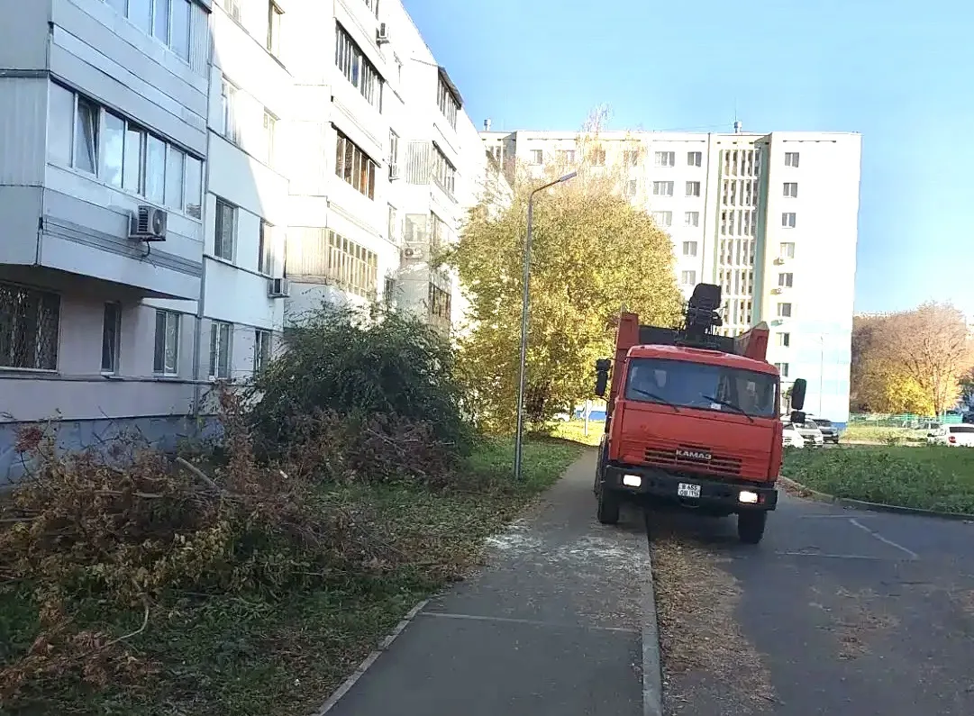 Осень — время навести красоту!🌳🍂