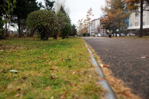 Доброе утро, подписчики! ☀️ Сегодня пятница, 16 октября.