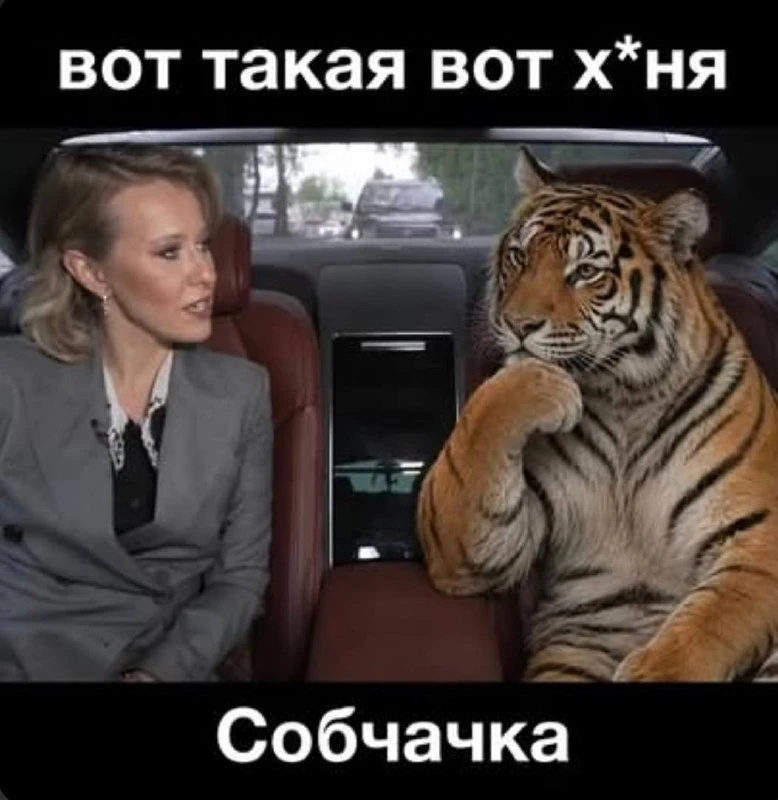 возвращаю мемы на постоянной основе? 🌝