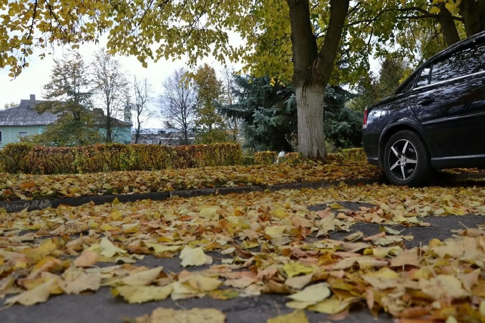 Ну что, осень за окном, а у меня из Ожерелья в придачу — яркое приветствие! 🍁 Хотя, ес...