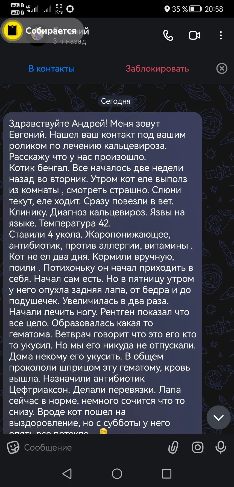 Люди находят мои видео на Ютубе, про лечение кольцевероза у кошек.
