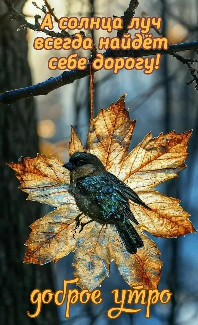 👉 ОТКРЫТКИ 💗 С добрым утром!