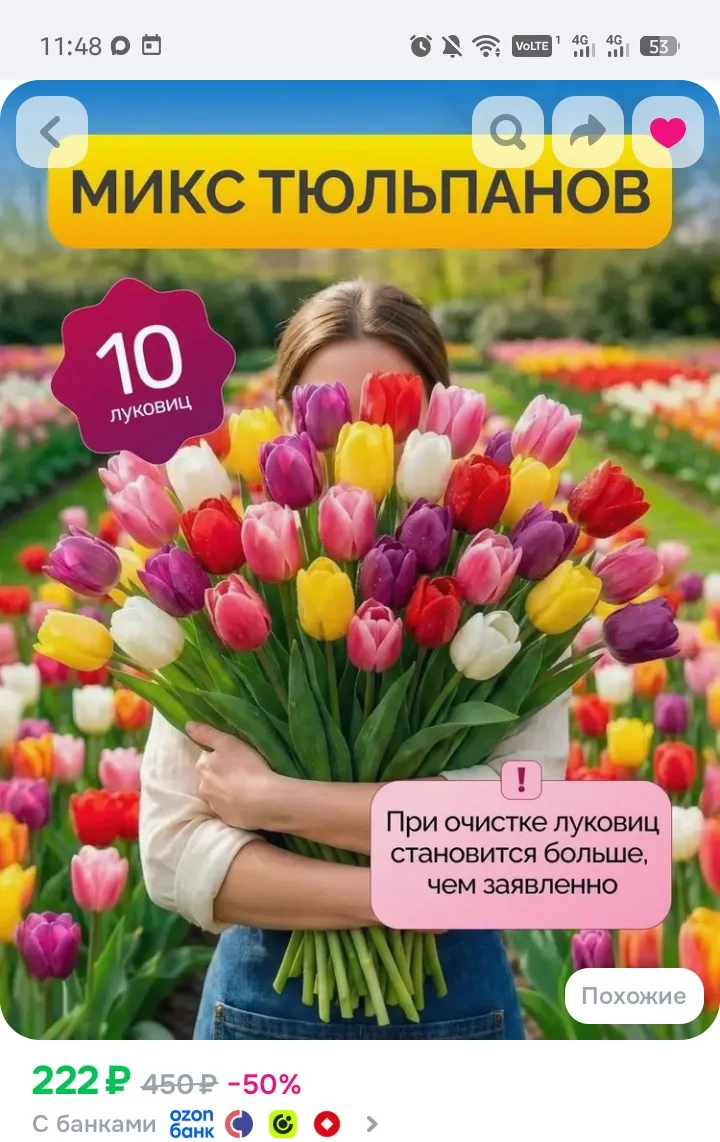 https://www.ozon.ru/product/lukovitsy-tyulpanov-miks-raznyh-sortov-10-shtuk-3730150055/...