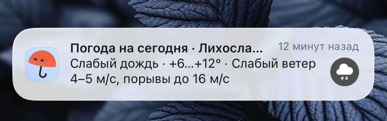 ☔️ Сегодня возможен небольшой дождь