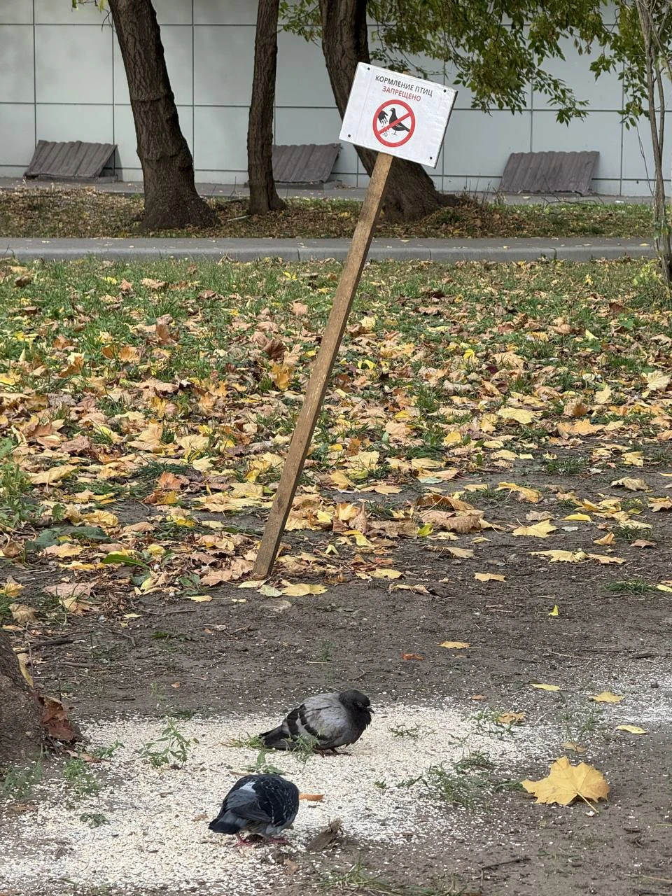 На улице Матвеевская замечены бунтари😆