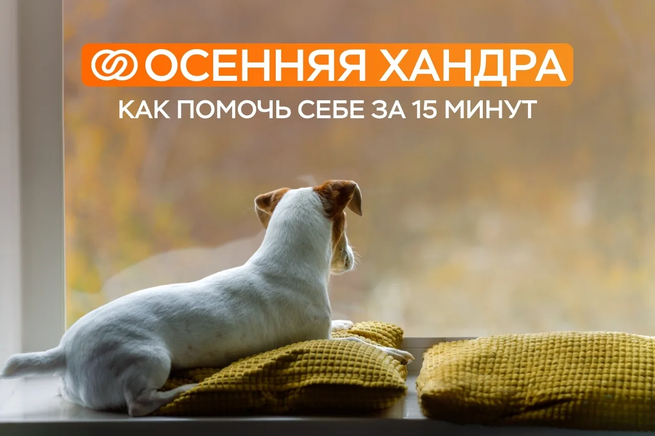 15 минут для борьбы с осенней хандрой