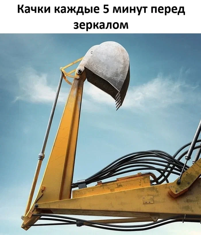 Качки би лайк себя