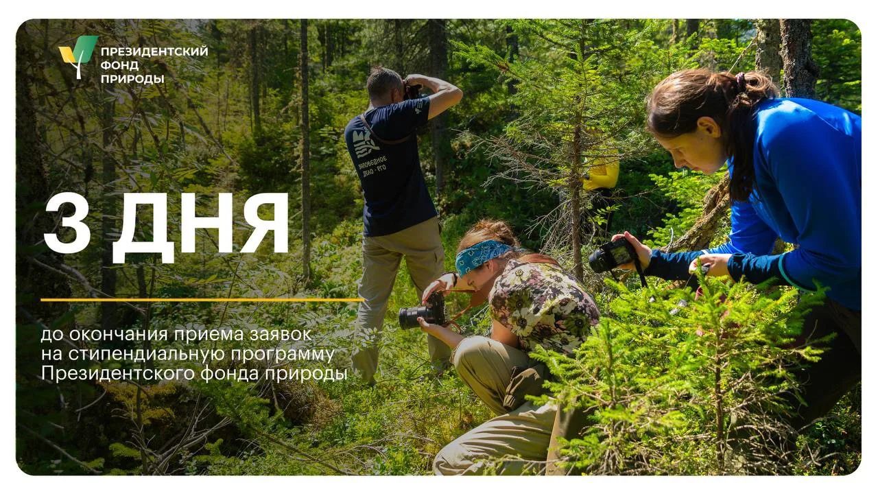 ☀️ До окончания приема заявок на студенческую стипендию Президентского фонда природы – ...