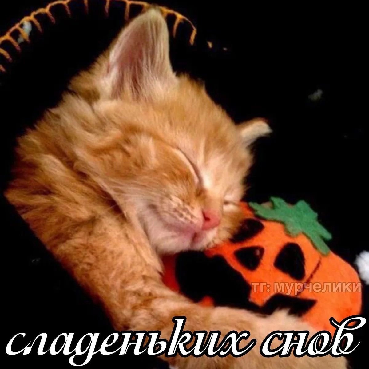 КРАСИВЫЕ ОТКРЫТКИ ТУТ💖