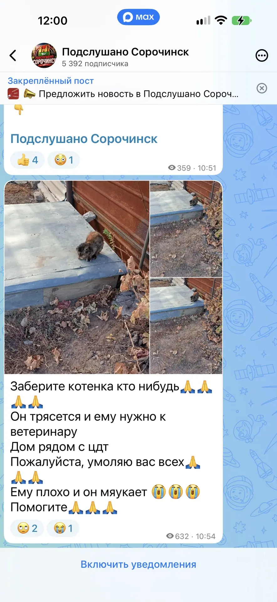 Кто выложил это объявление ???? Можно контакт ??? Котенку хотят помочь