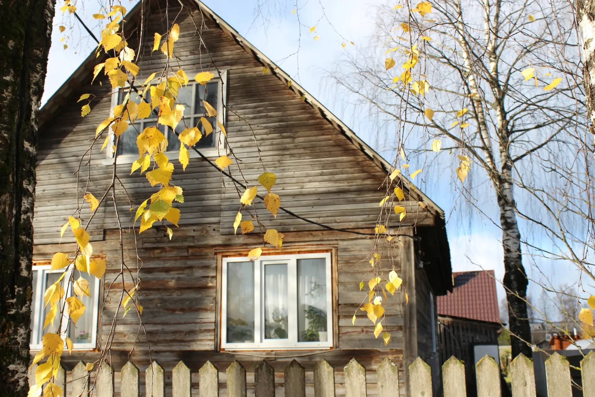 🍂Плесецк осенью — как тихая мелодия. Золото на ветках, мягкий свет, прохладный воздух ...