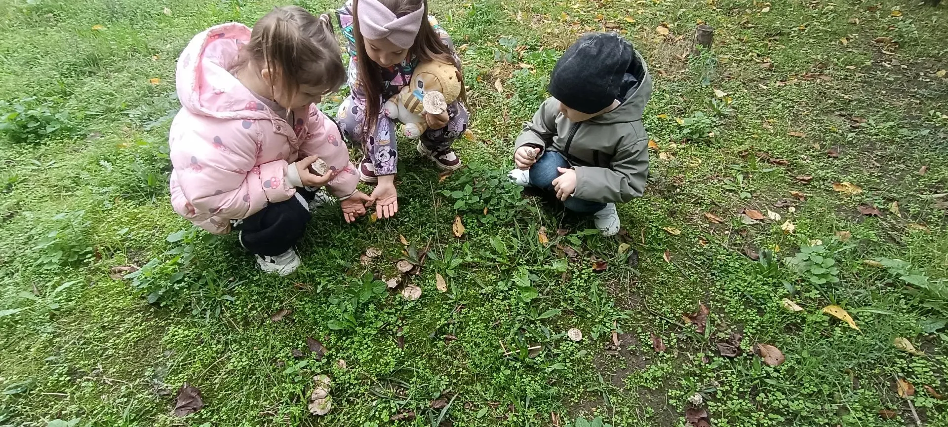 В лес по грибы: Большое приключение Орлят и Эколят!