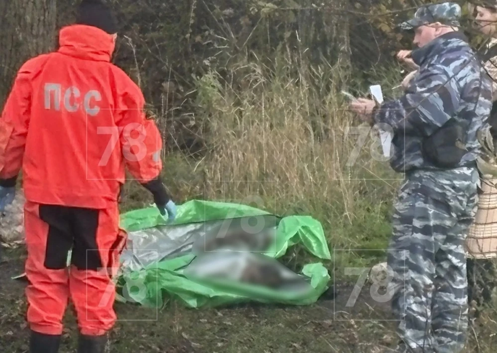 В Петербурге в сумке и пакетах нашли части человеческого тела: СК возбудил дело об убий...