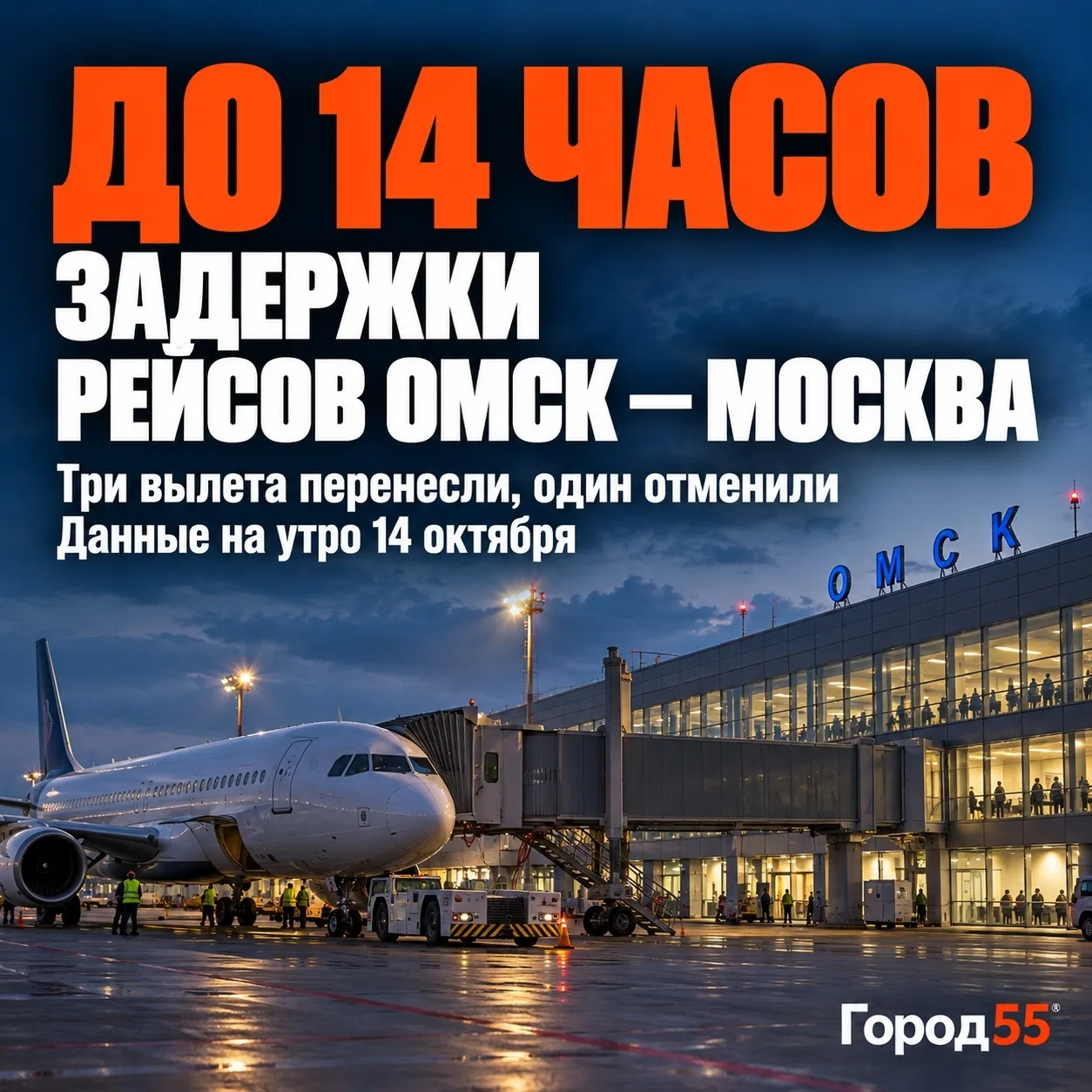 Ожидание до 14 часов: рейсы из Омска задержаны из-за атаки БПЛА на Москву