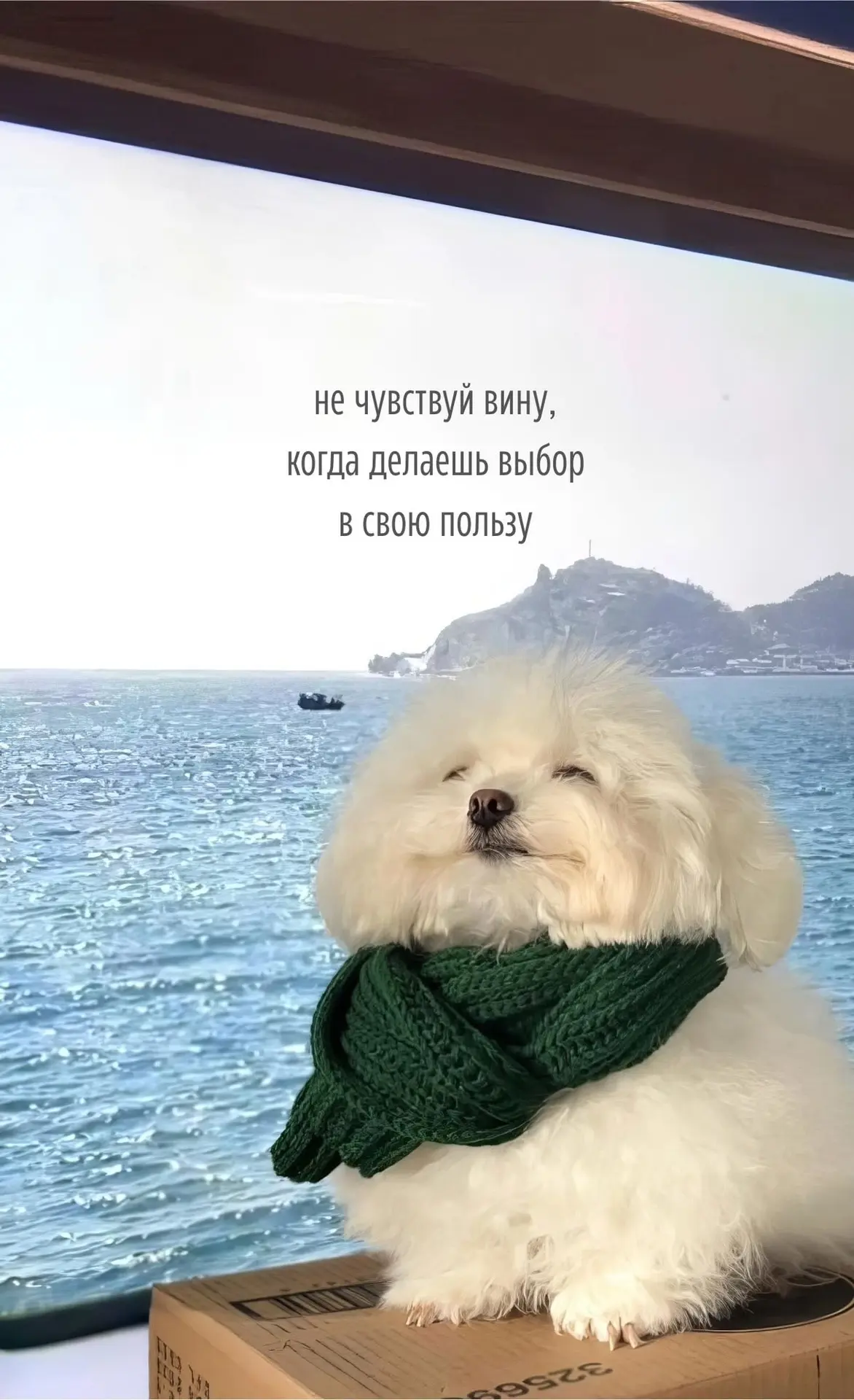 не чувствуй вину, когда делаешь выбор в свою пользу