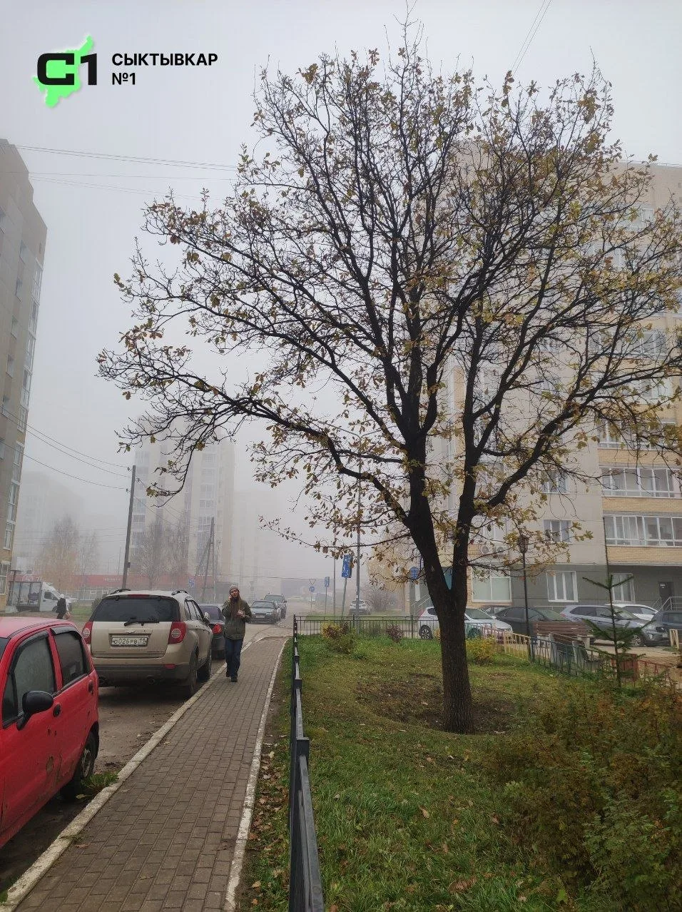 И сегодня не отступает. Туманное утро в Давпоне в объективе подписчицы.