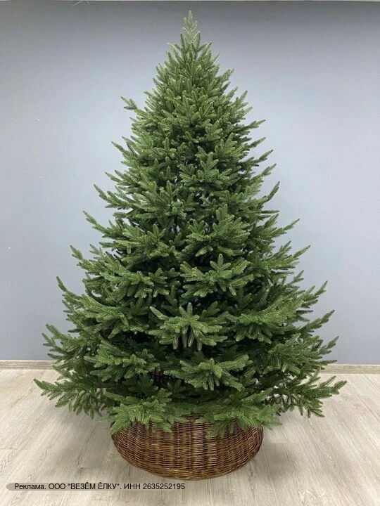 Эту ёлку хочется показать гостям ещё до того, как её нарядили 🎄