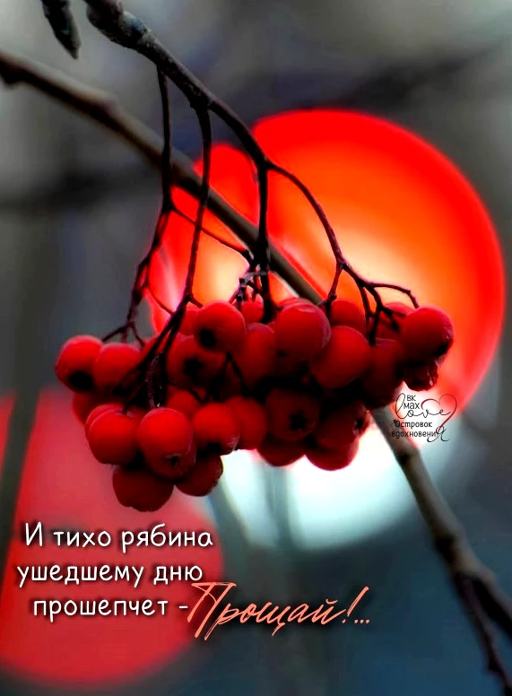 Завтра будет новый день, новые надежды. А сейчас — прощание с уходящим. И тихий шепот р...