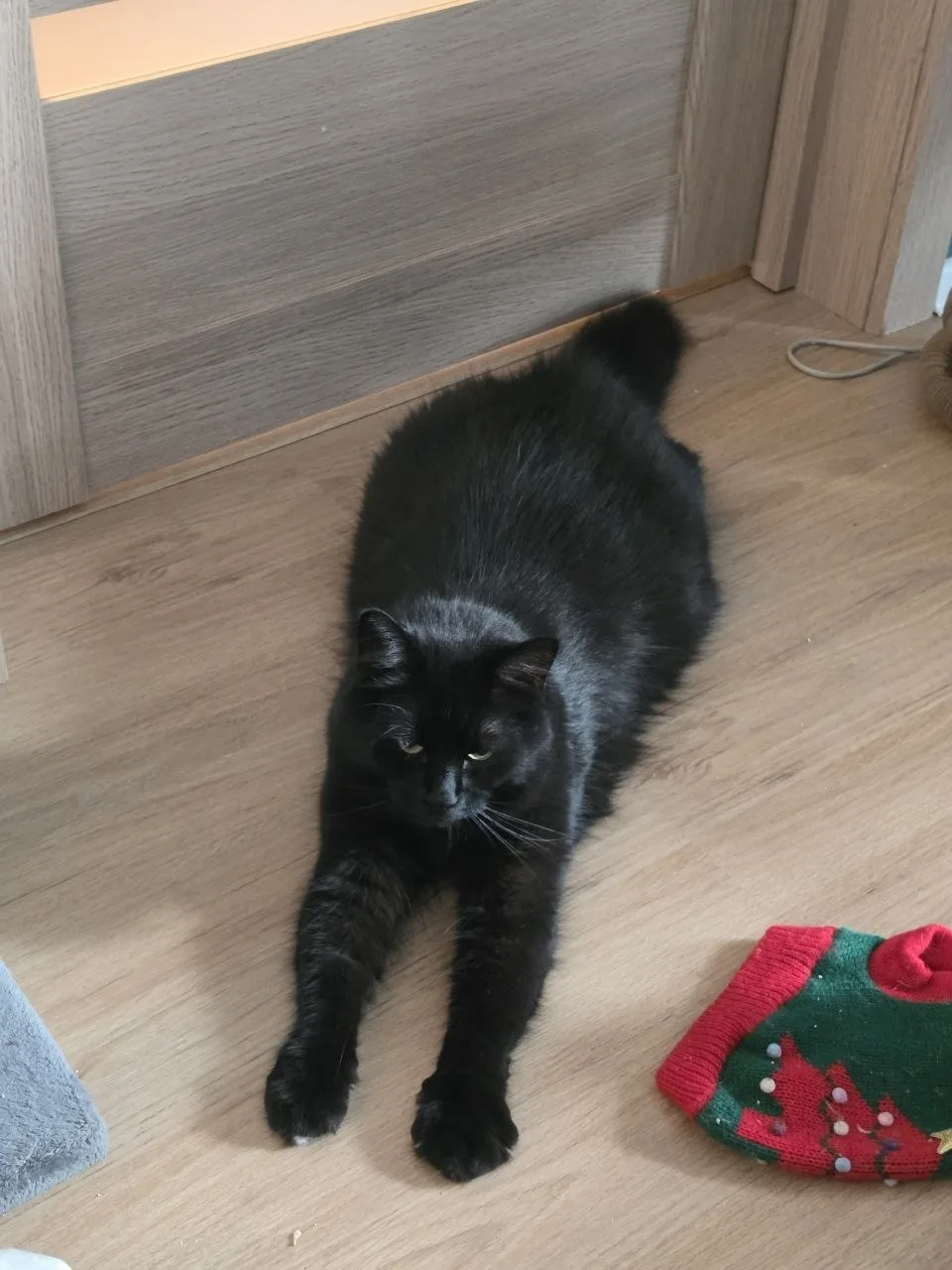 #из_нового_дома