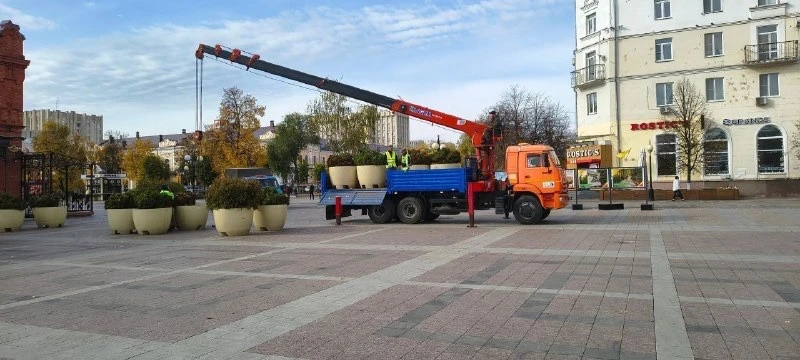 Туи вернулись на площадь Ленина в Пензе