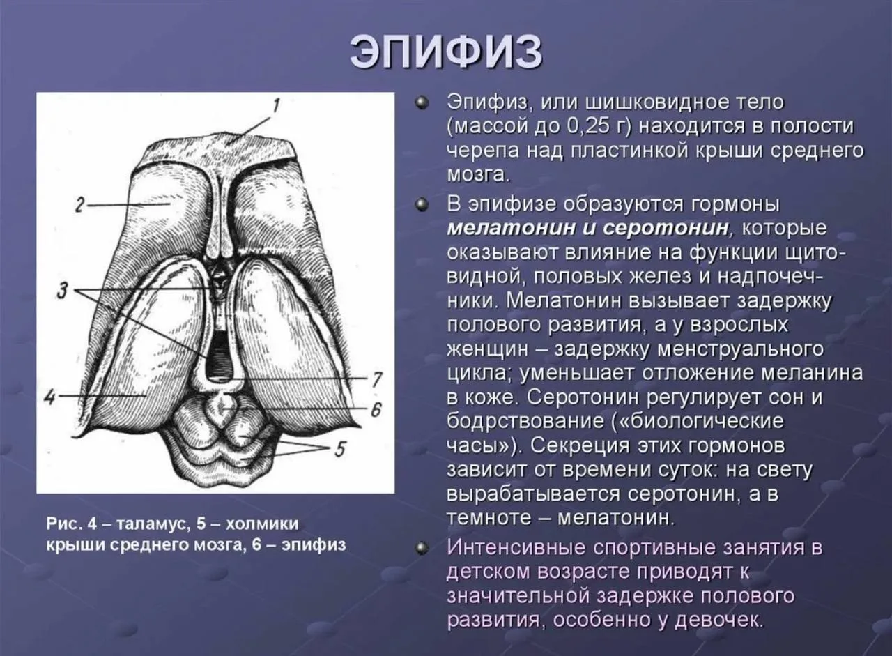 Соль №25 РИТМ 🎶