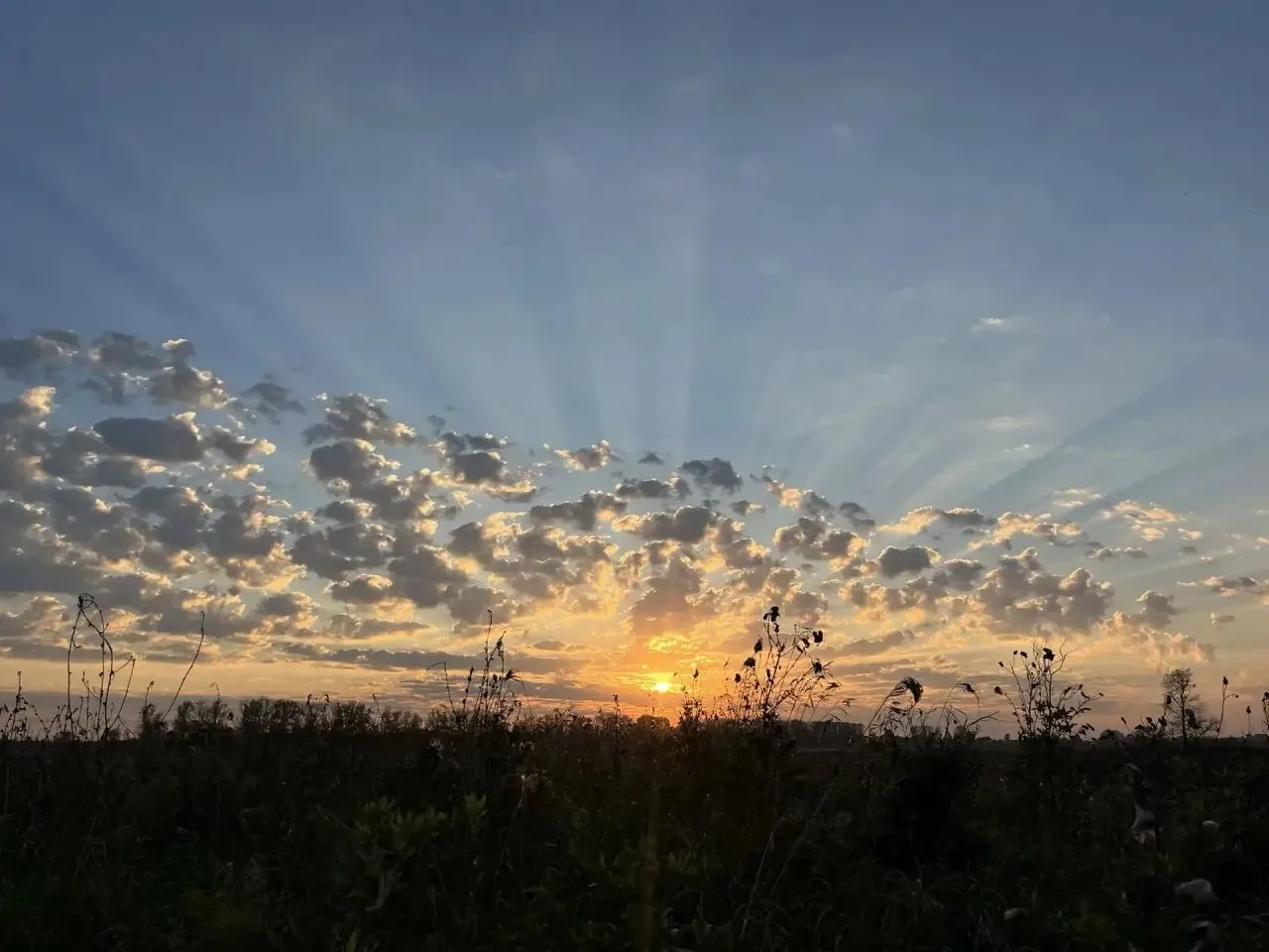 Аномальное тепло задержится в Татарстане до выходных ☀️Комфортная осенняя погода с темп...