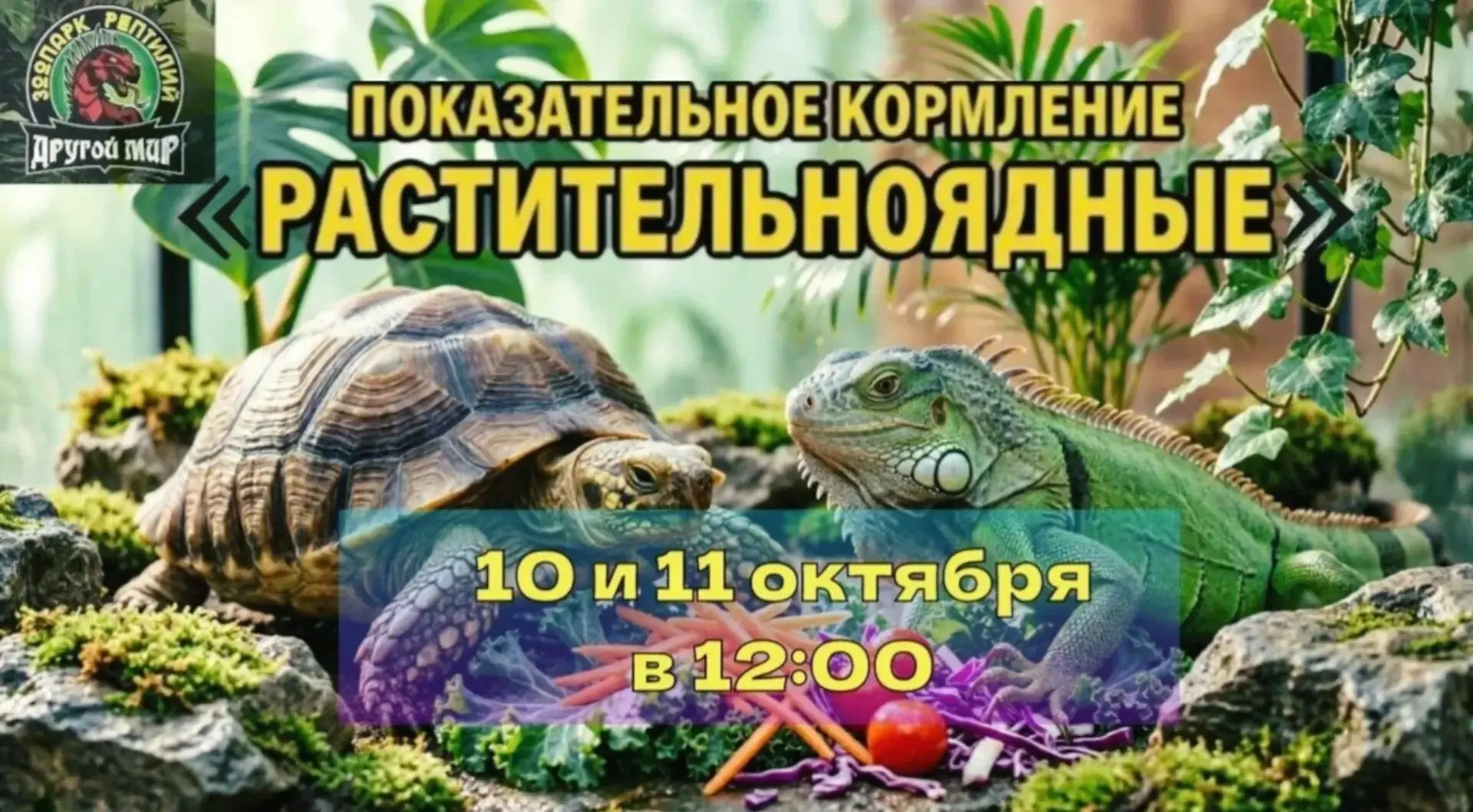 🦎🌿 Показательное кормление