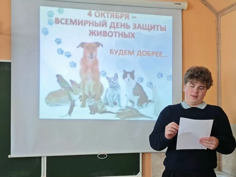 🐕 Воронеж отметил Всемирный День защиты животных