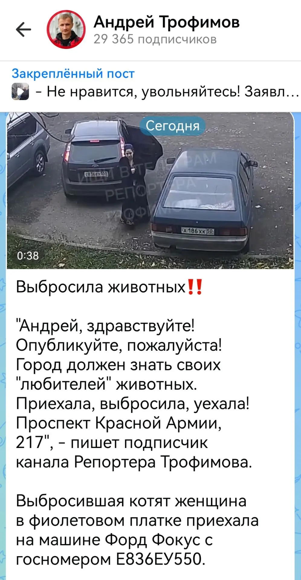 РЕАКЦИЯ: "Спасибо большое за публикацию! Котят забрали", - пишет автор публикации о том...