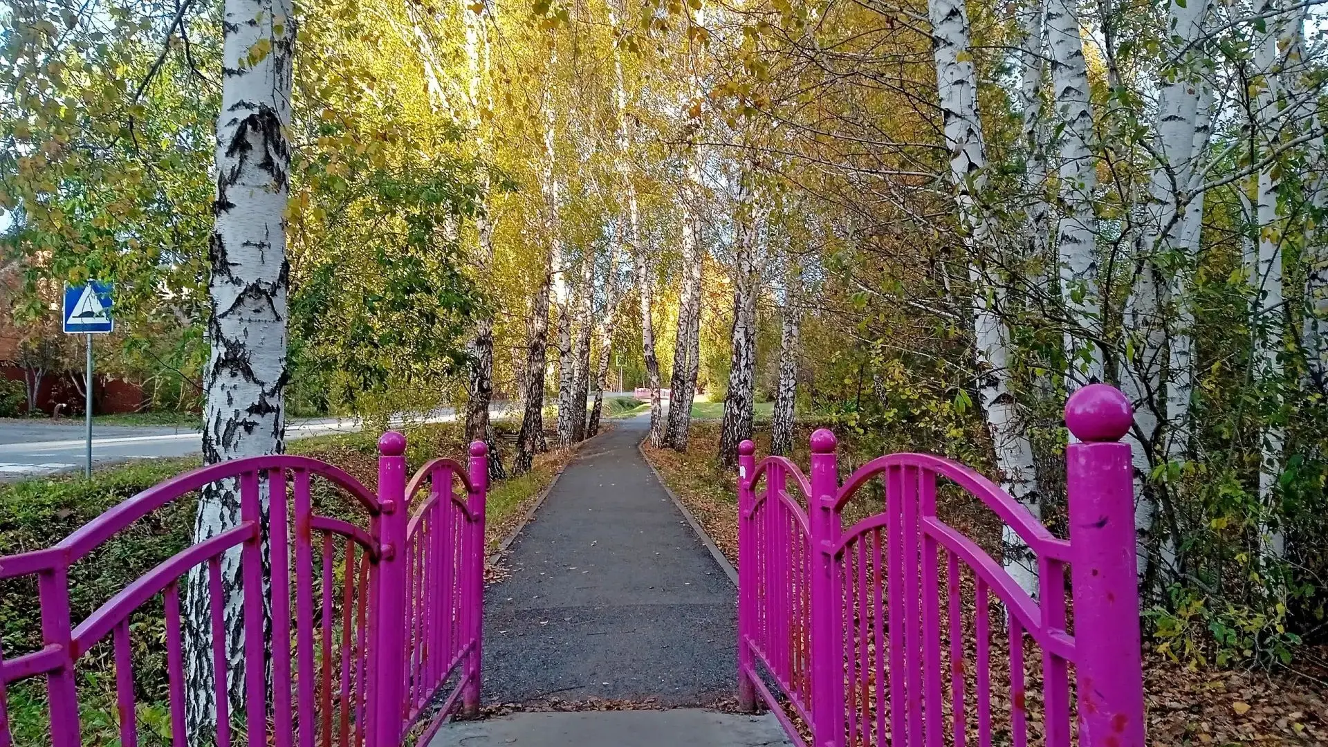 🍂 Есть в осени первоначальной короткая, но дивная пора — и так здорово провести её на ...
