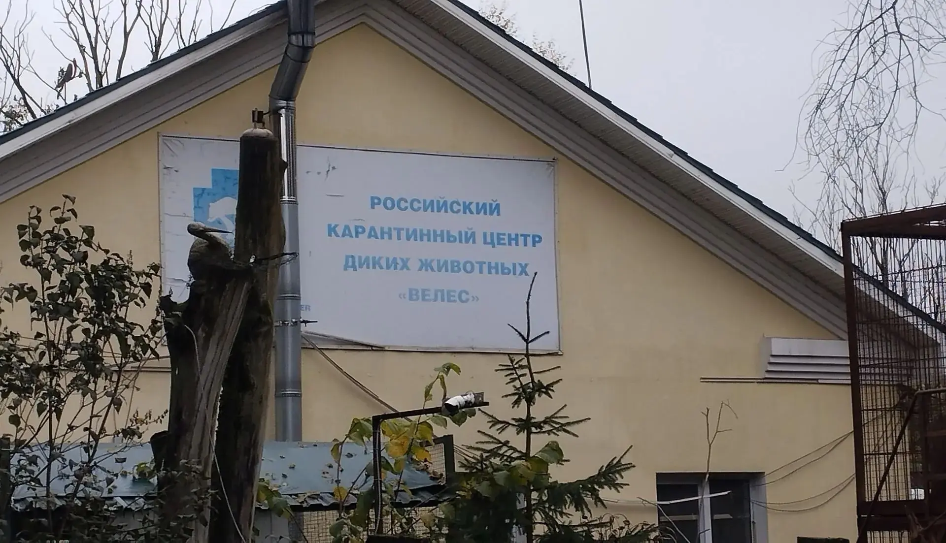 Самое трогательное в нашей профессии — это искренний огонек в глазах детей, когда они п...