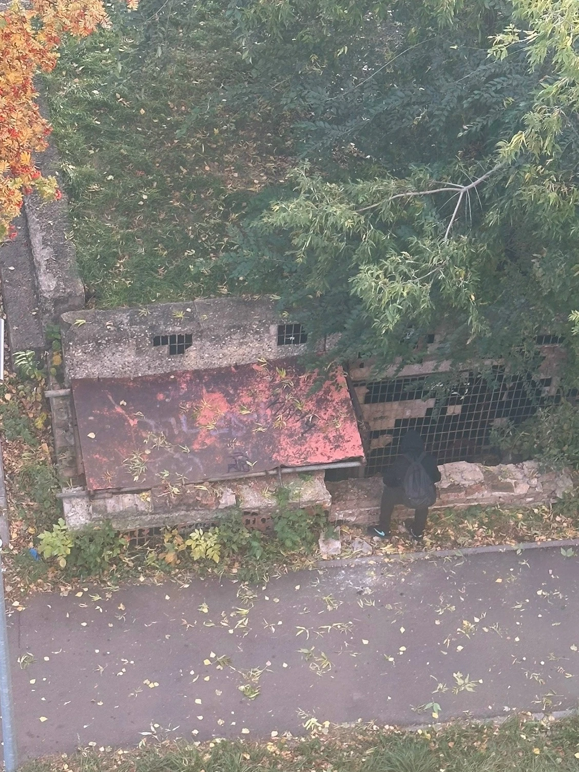 Взади дома 24/08 1го подъезда дети ломают кирпичи чтоб попасть в этот подвал или что то...