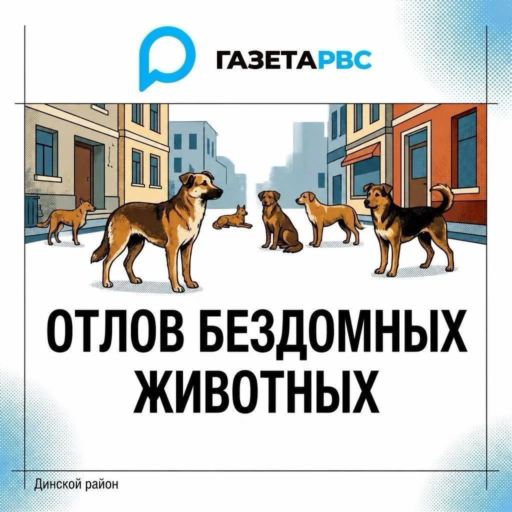 🐾 Отлов бездомных животных в Динском районе