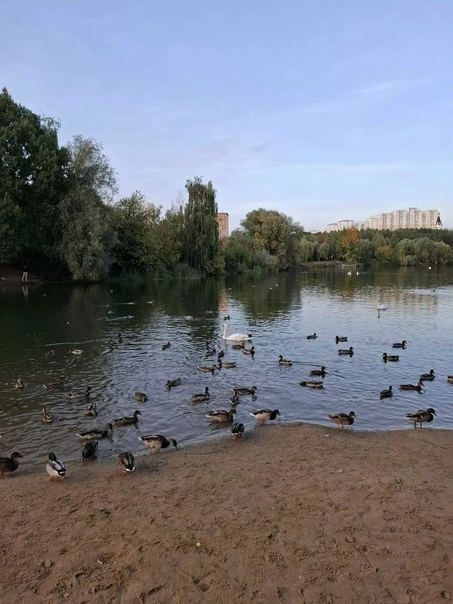 Немного фотографий из любимого парка в этот воскресный день.