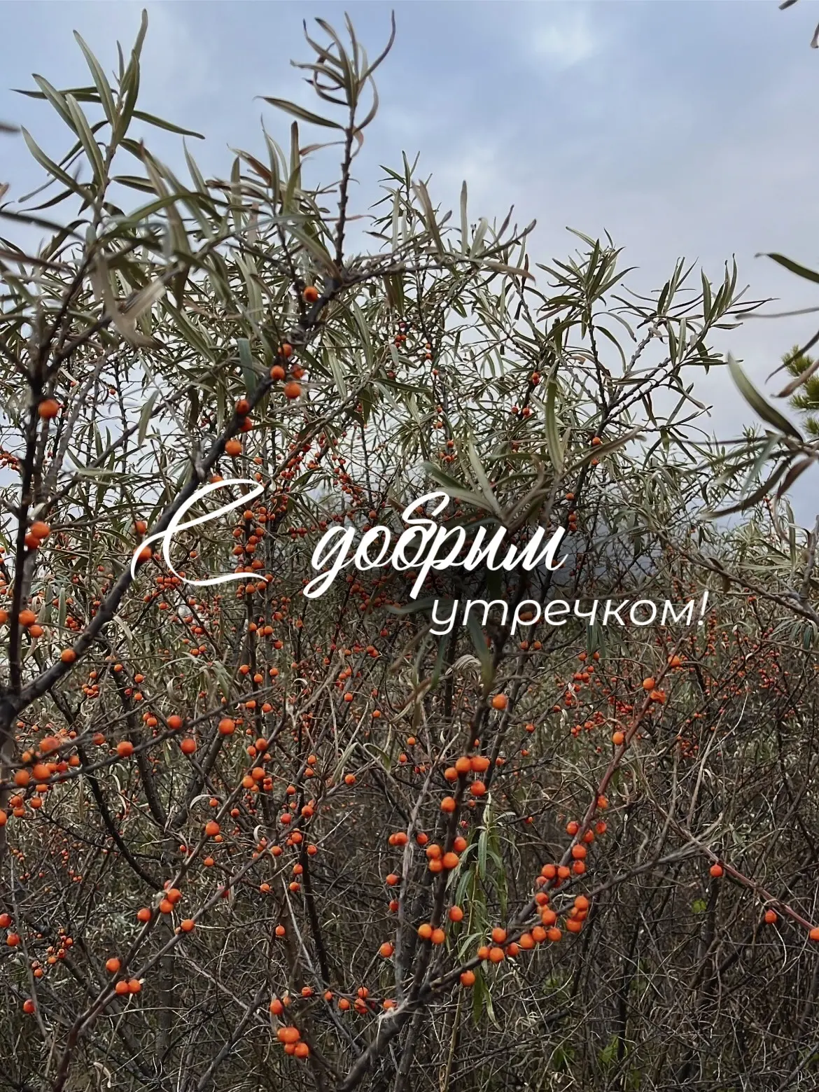 С добрым утром! ☁️