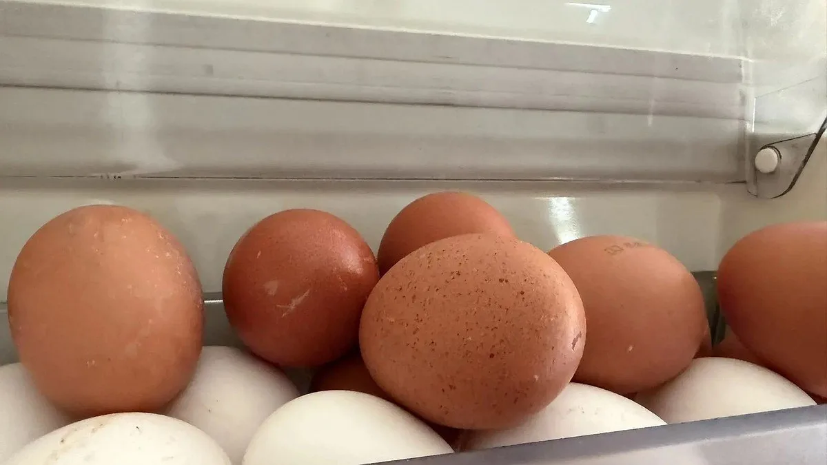 Яйца с сальмонеллой невозможно распознать по виду, вкусу и запаху