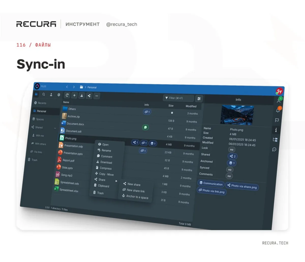 📁 Sync-in