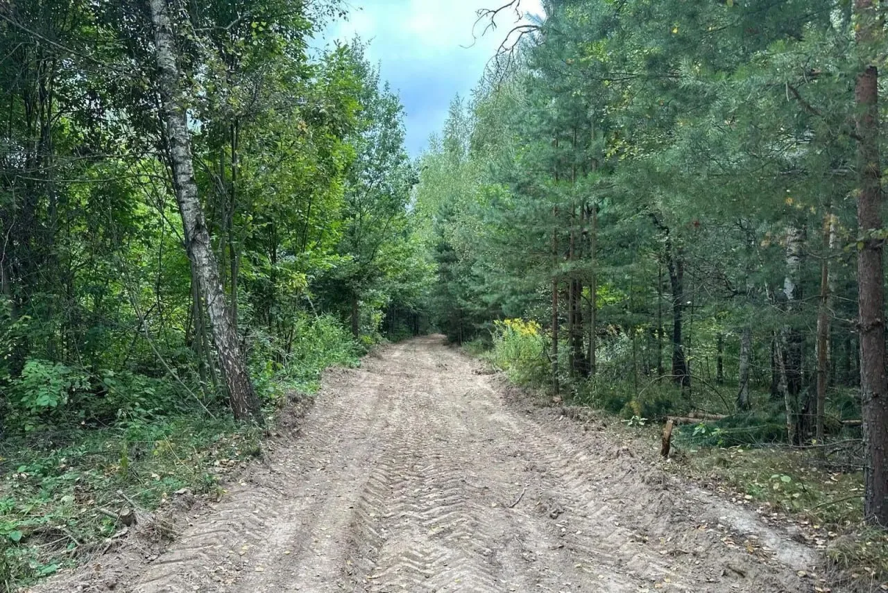 🌲 В лесах Ступино, Каширы и Коломны привели в порядок более 13 км лесных дорог