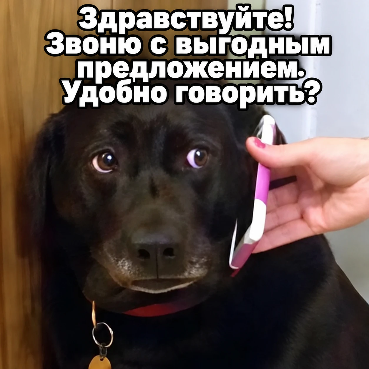 ⚠️ Мошенники придумали новые способы выманивать СМС-коды