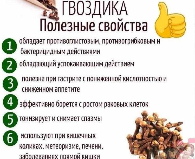 Гвоздика и ее полезные свойства